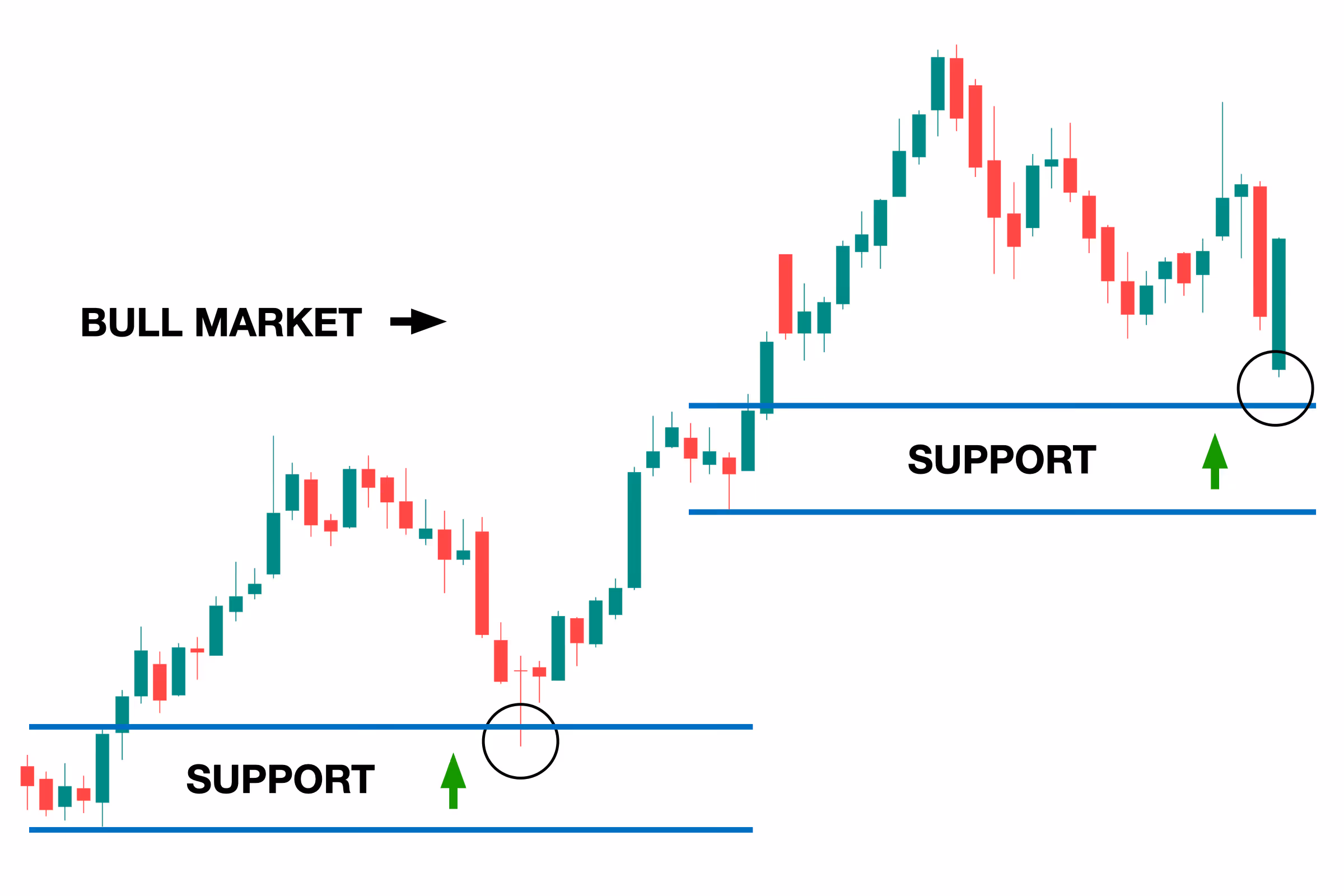 A candlestick chart illustrating a bull market where price consistently respects support levels and bounces upward. The image highlights how support zones act as key areas of buying interest during an uptrend, helping traders identify potential entry points. Ideal for content related to technical analysis, support levels, and trend-following strategies.