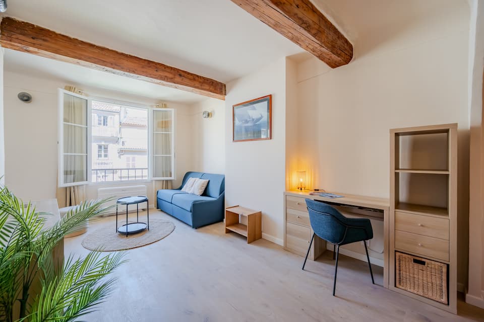 Charmant logement climatisé cours Lafayette