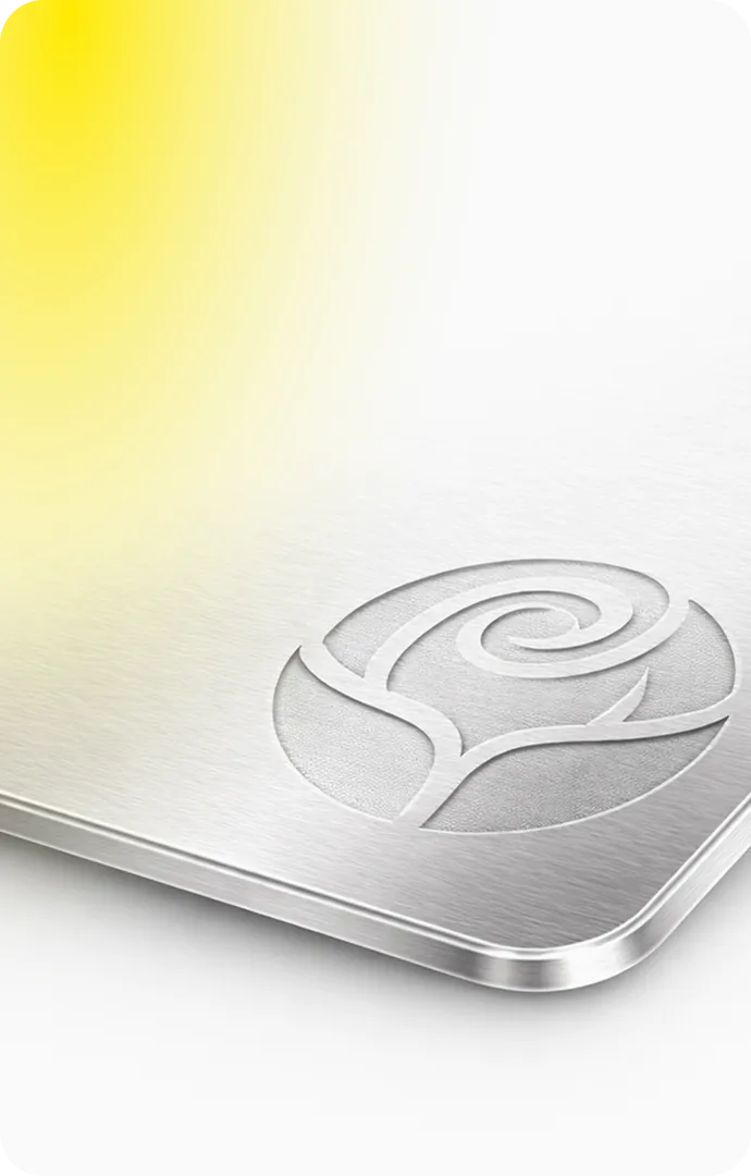 Close-up of a silver metallic surface with an embossed stylized rose design near the corner.