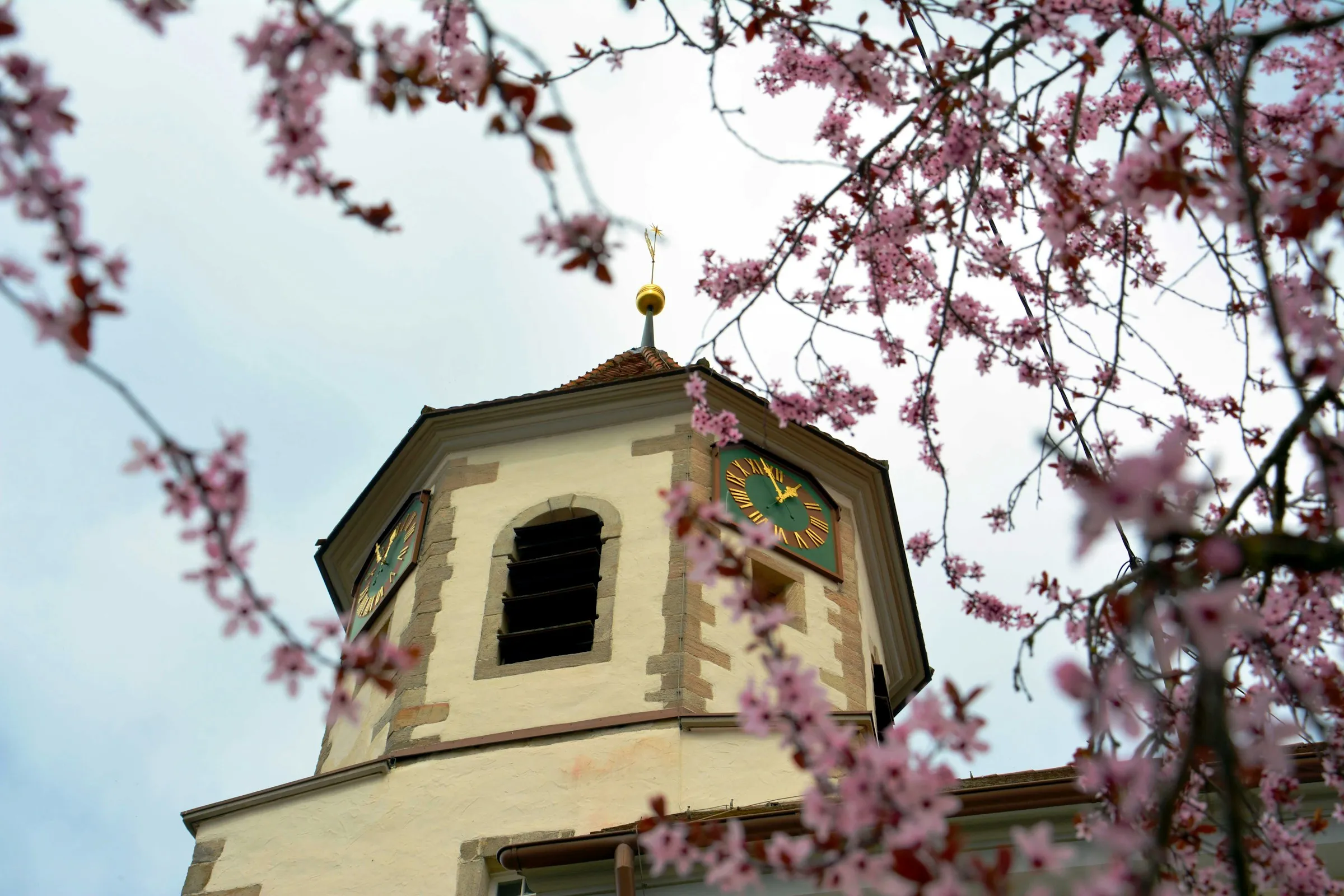 SEO Basel und Albstadt