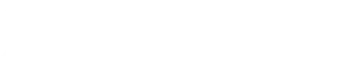 SKINY Logo