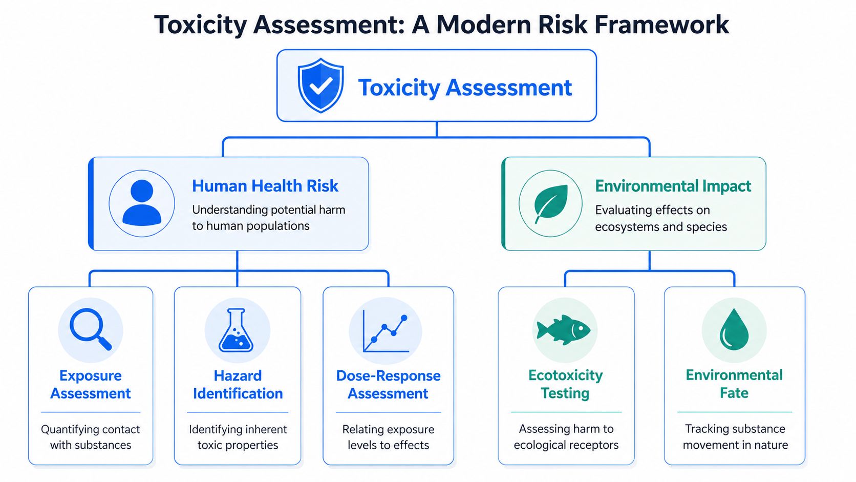 A diagram illustrating a modern risk framework for toxicity assessment, covering human health and environmental impact.