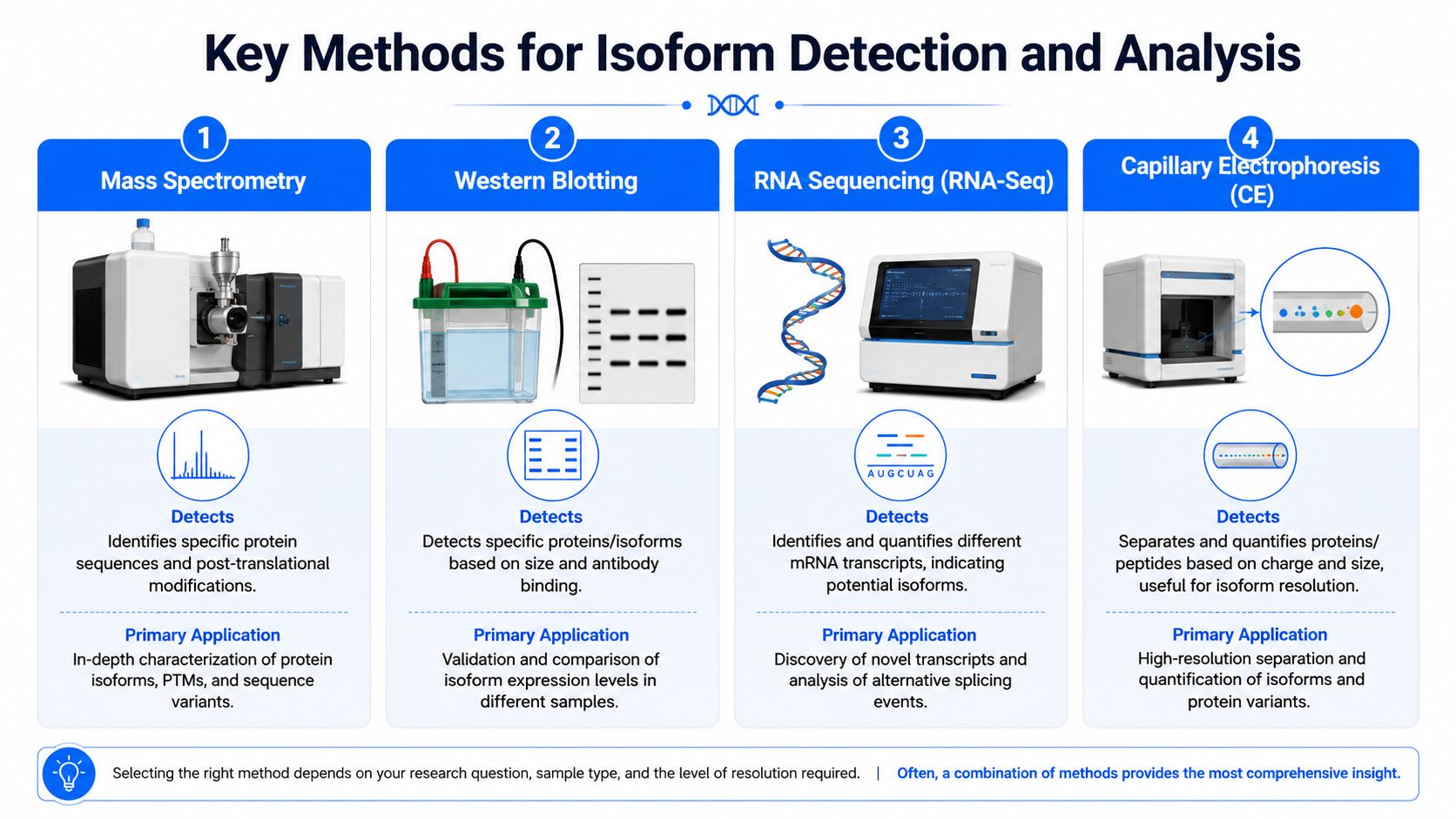 An infographic titled Key Methods for Isoform Detection and Analysis comparing mass spectrometry, western blotting, RNA-Seq, and capillary electrophoresis.