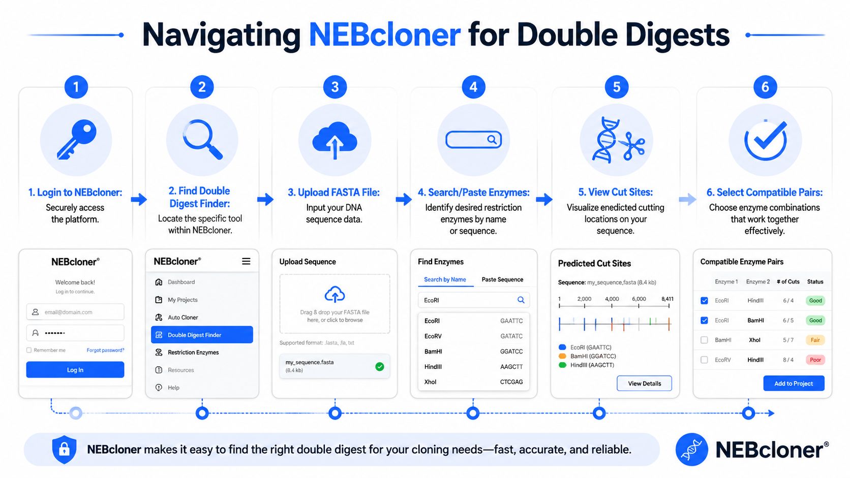 An infographic illustrating the six-step process for using the NEBcloner Double Digest Finder tool online.