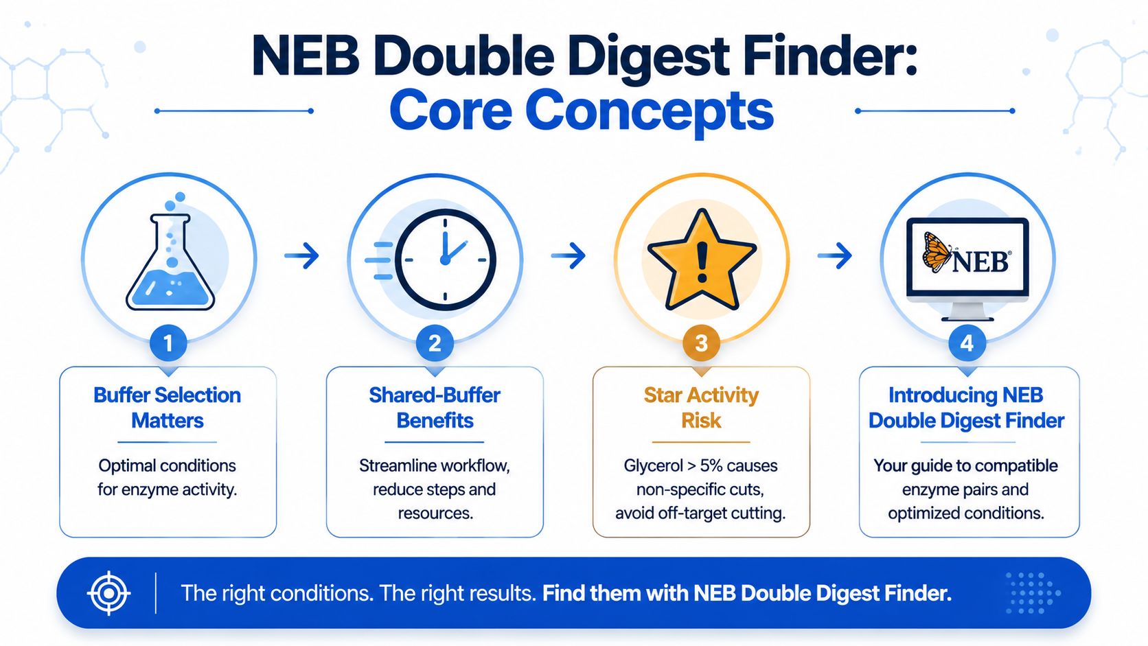 An infographic titled NEB Double Digest Finder outlining four core concepts for using restriction enzymes in laboratories.