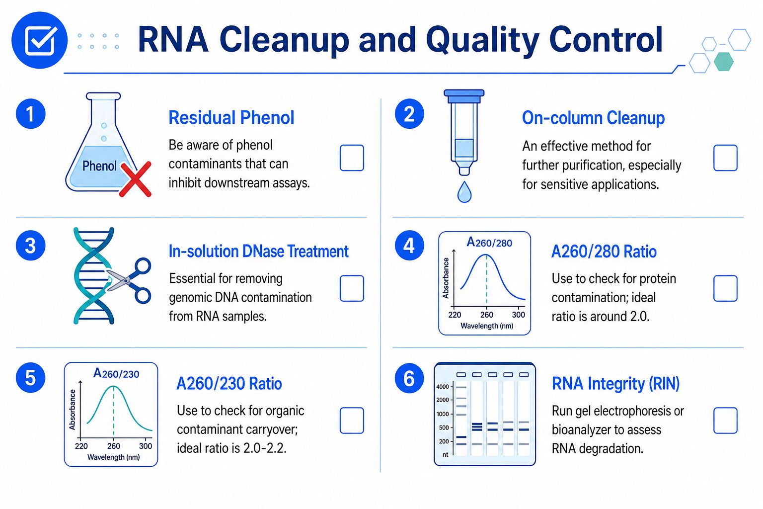 A numbered infographic outlining six key steps for RNA cleanup and quality control assessment in laboratories.