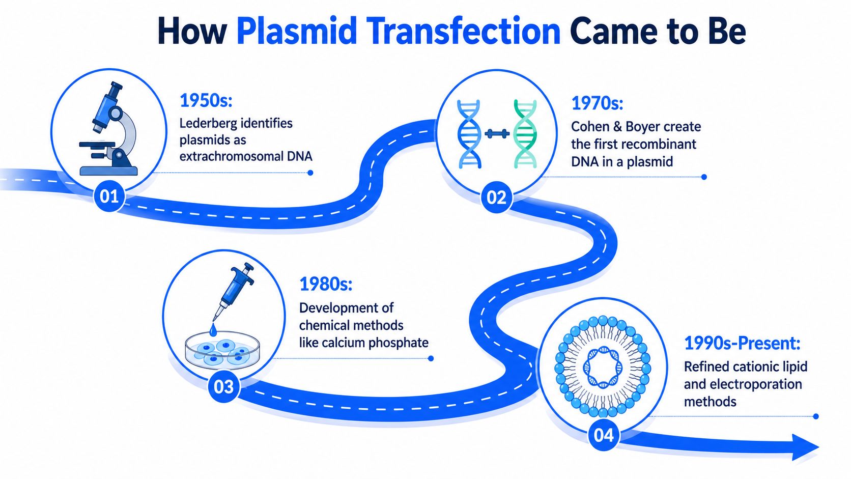 An infographic showing the historical development of plasmid transfection methods from the 1950s to the present.