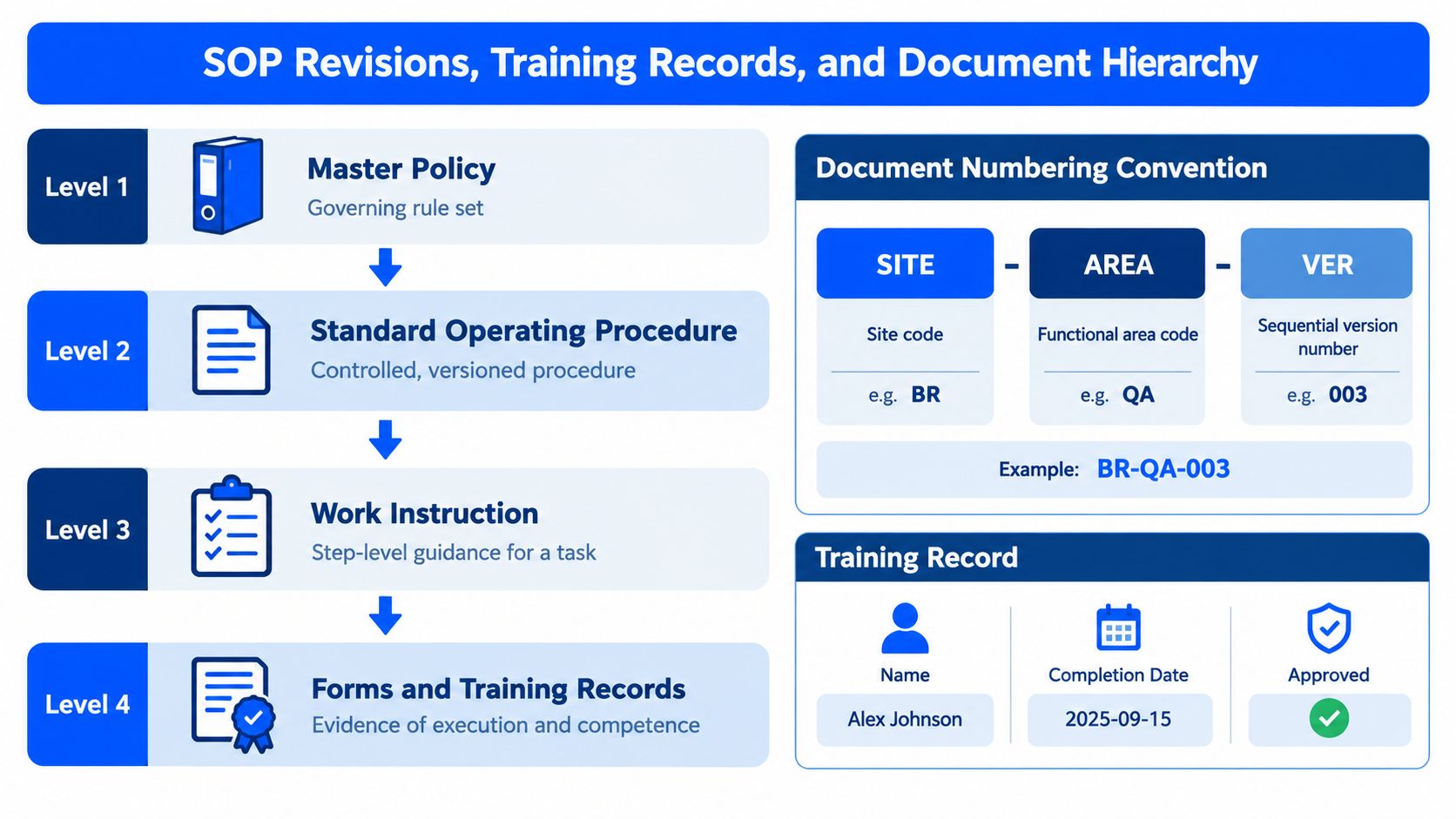 A diagram illustrating document hierarchy, SOP revision processes, numbering conventions, and training record documentation requirements.