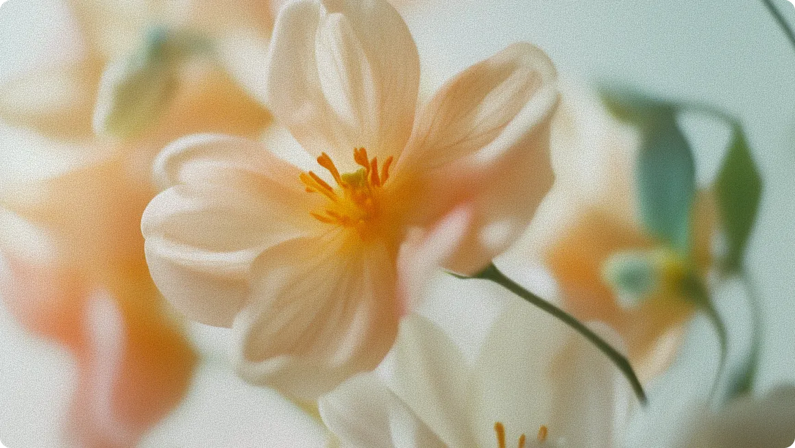 AirSuite - Webflow Template Image