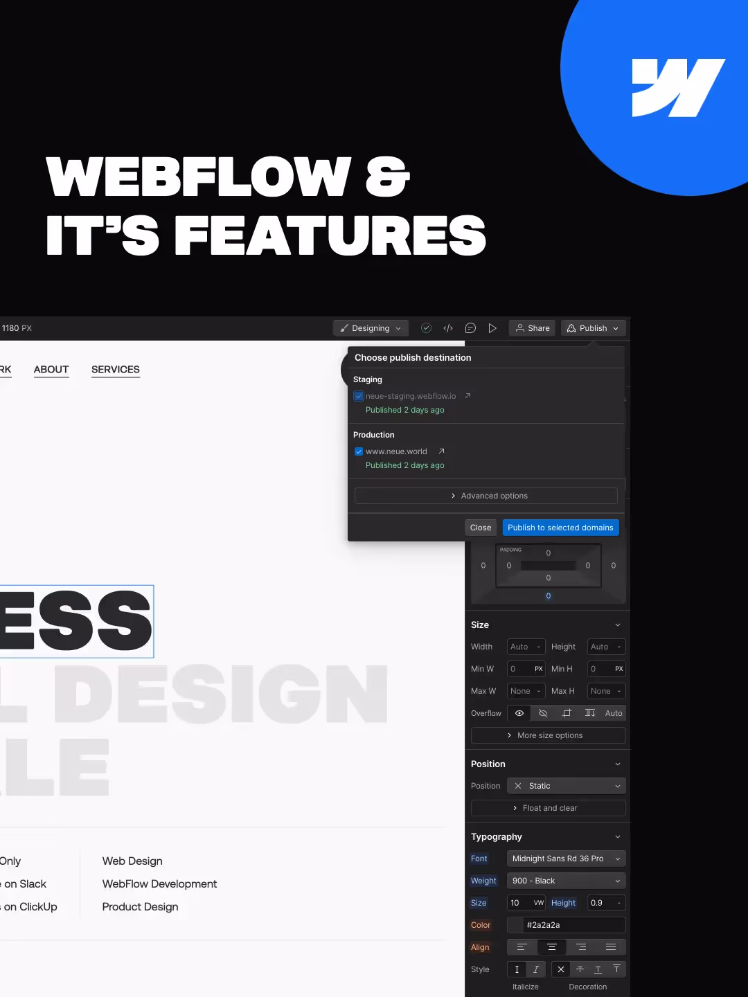 webflow features