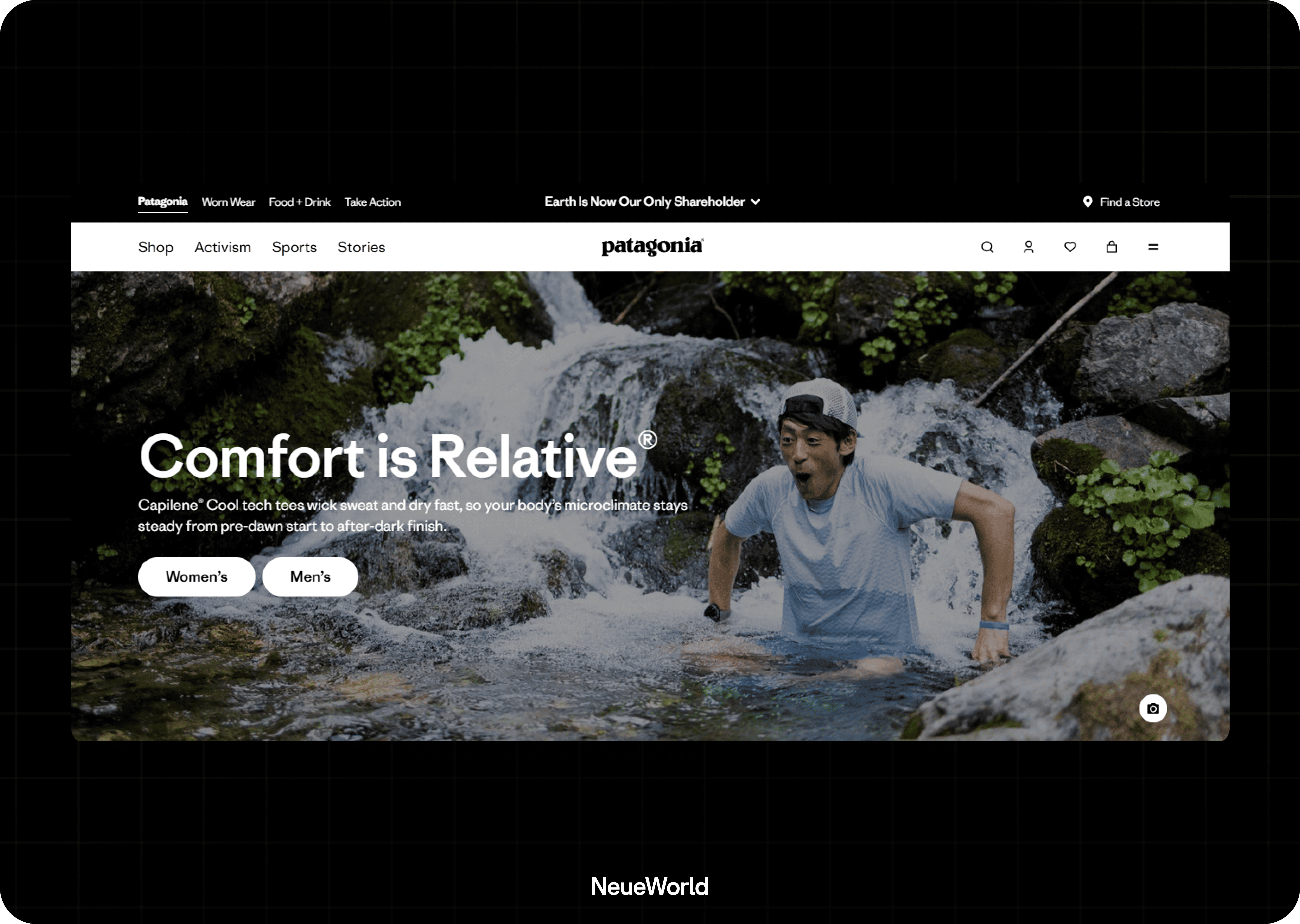 patagonia branding case study