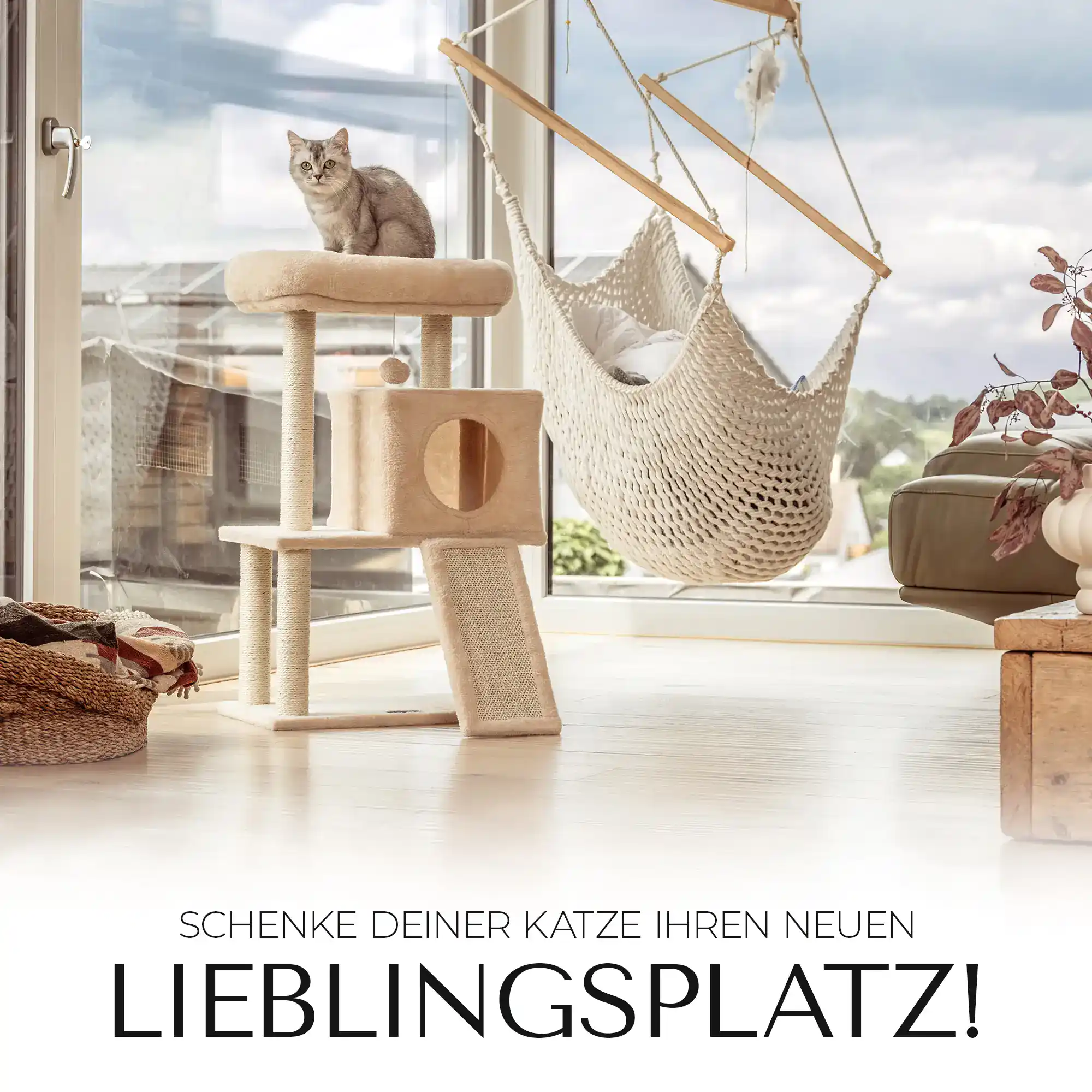 Stacvalley - Nordhof amazon fba management ebc design