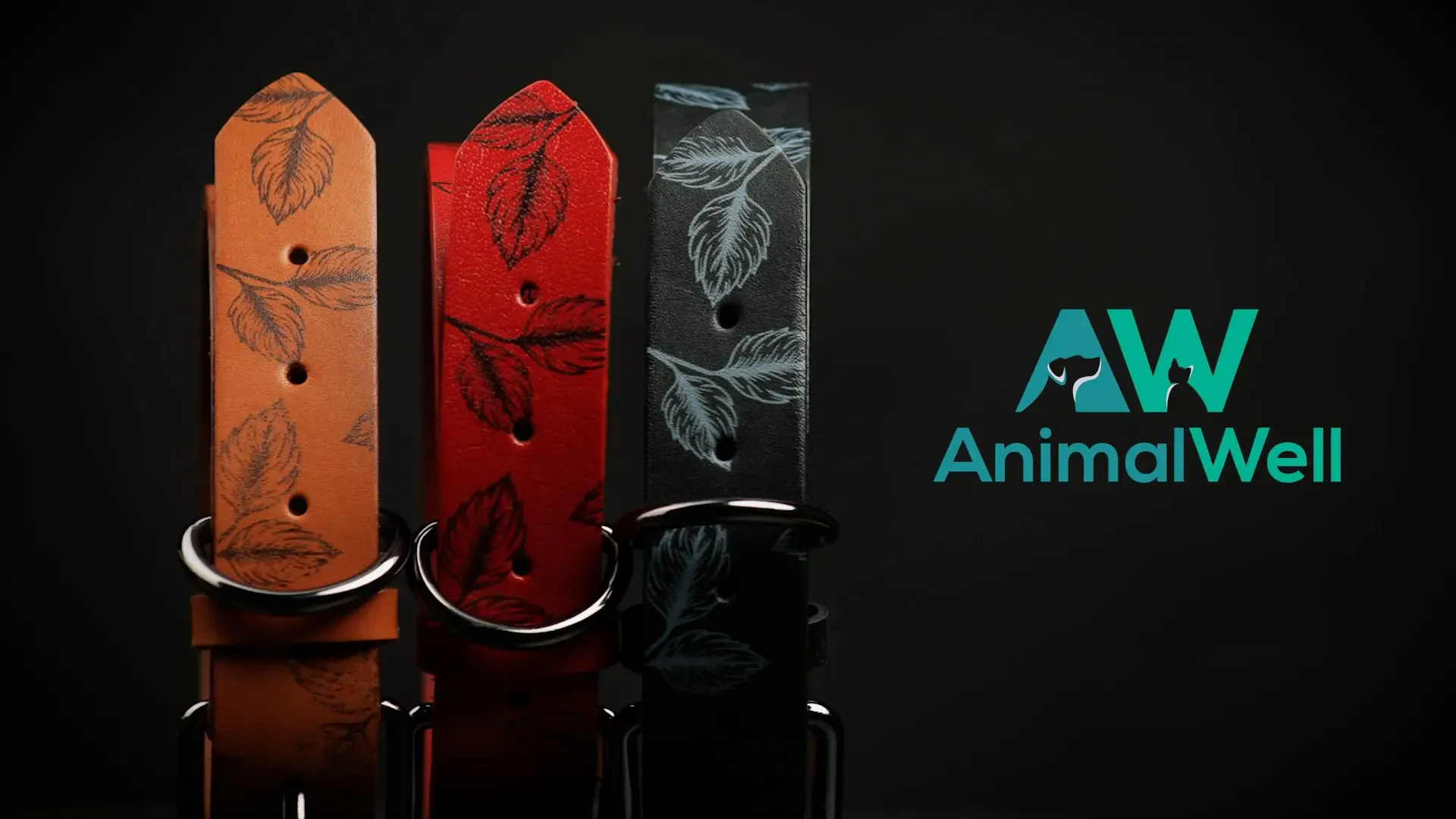 Amazon Product Videos & Full-Service Agency Strategie: Performance Marketing für E-Commerce Skalierung & Amazon Growth Synergy