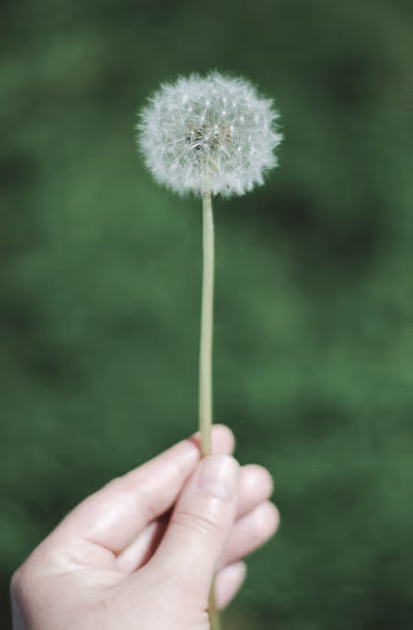 Psilocybin Treatment