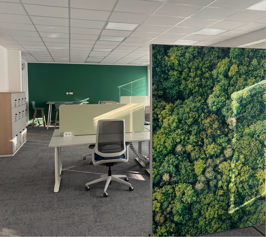Modern Büro mit mehreren Arbeitsplätzen, grüner Wand und Trennwand mit Waldmotiv.