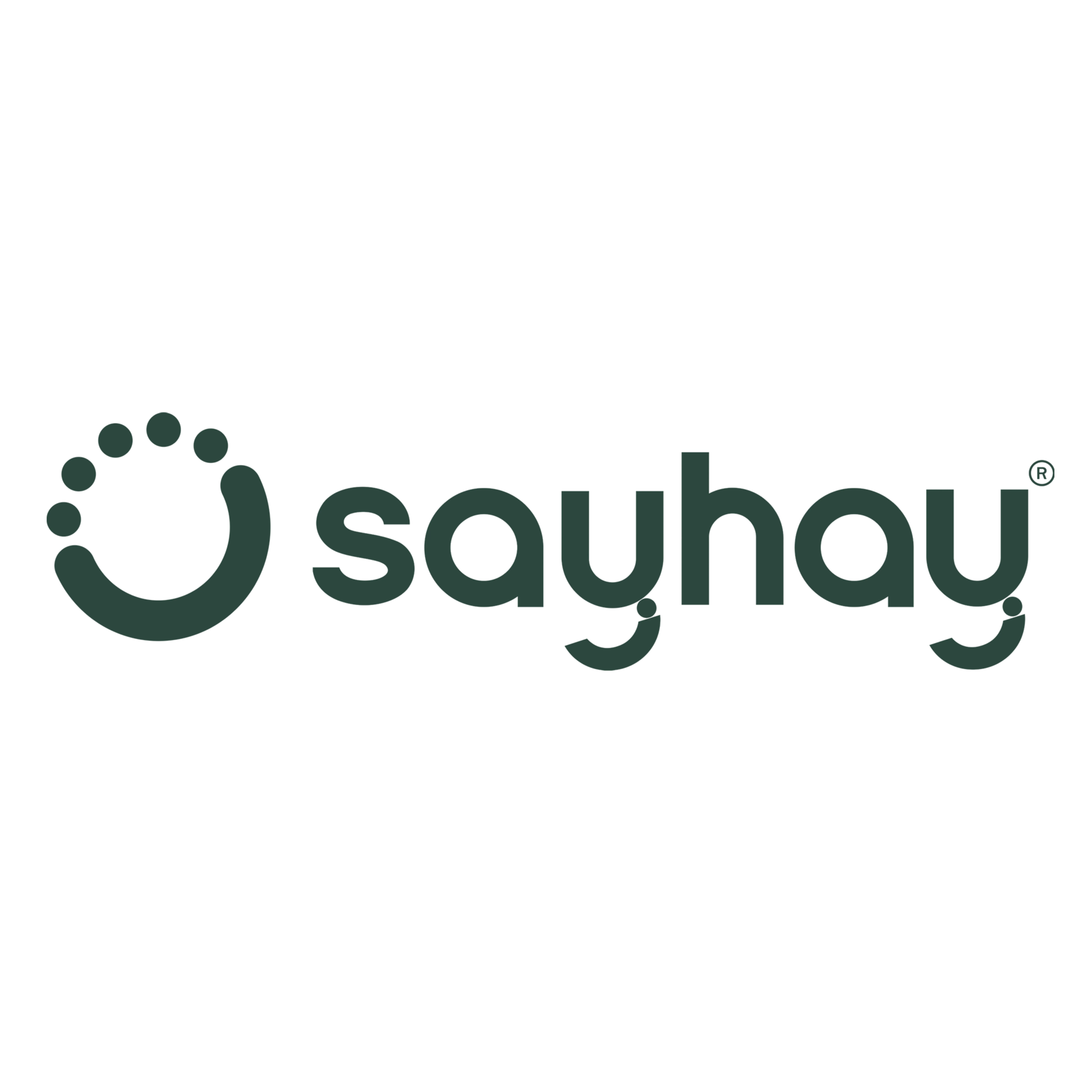 SAYHAY logo