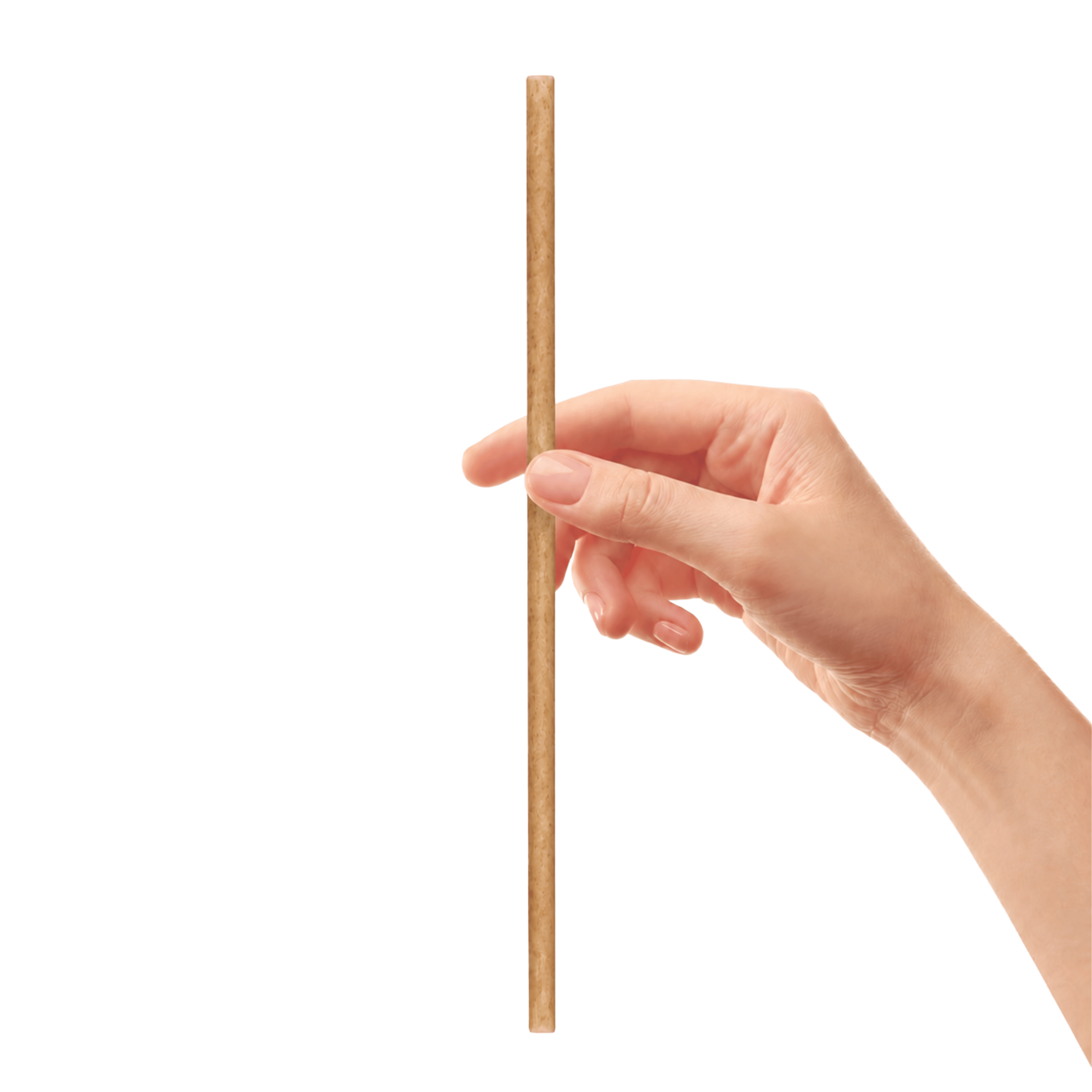 Smoothie Straw