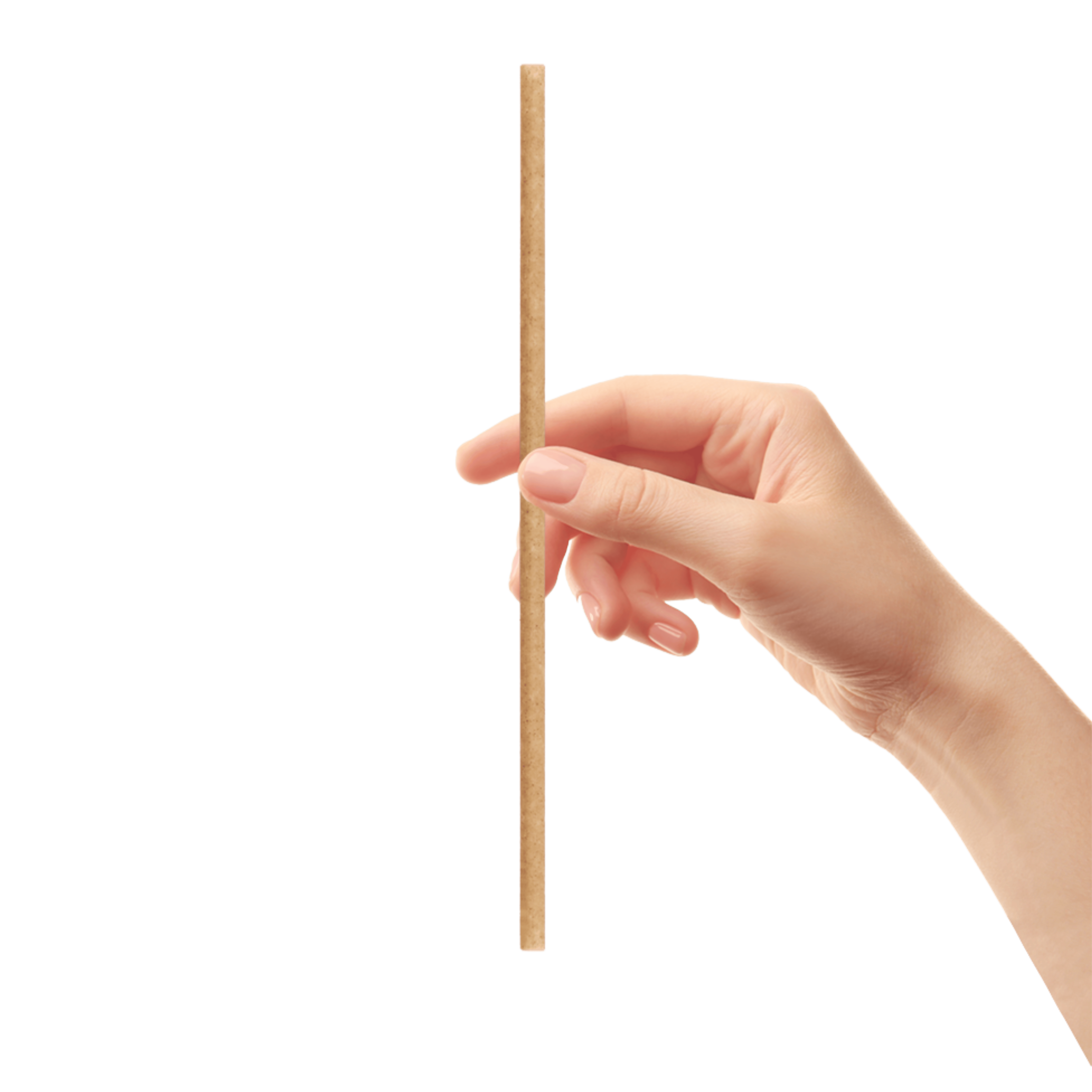 Regular Straw