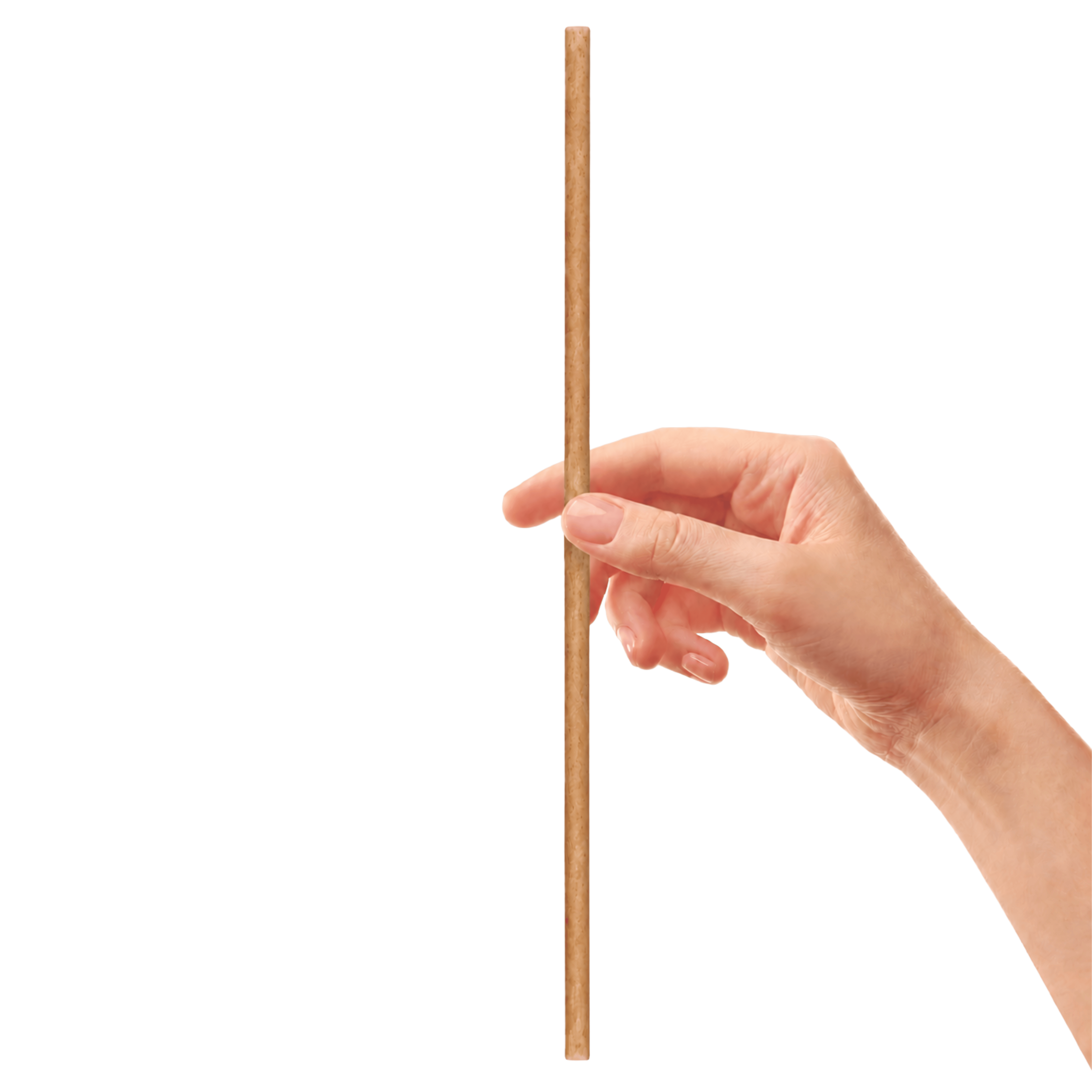 Cocktail Straw