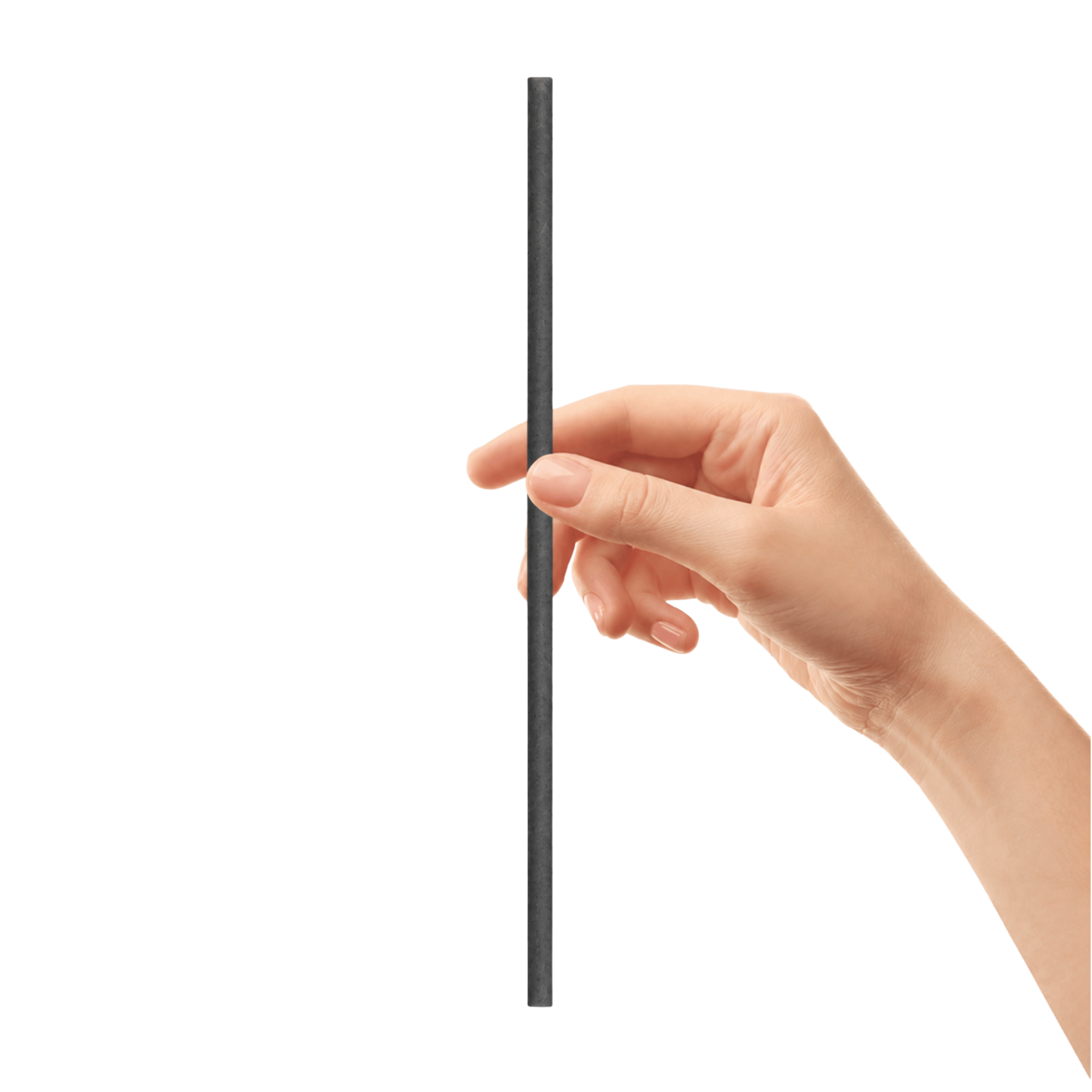 SAYHAY BioChar Regular Straw — black bio-char, net-zero carbon