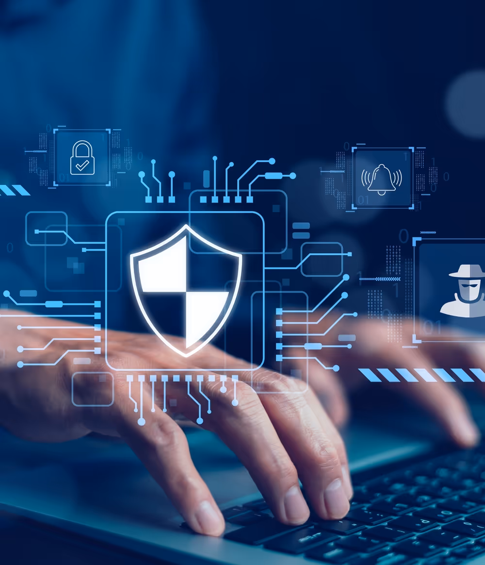 Build-Operate-Transfer Model