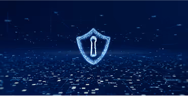 Comprehensive IT Solutions for Modern Businesses