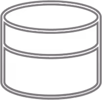 Core Capabilities and Technology Delivered