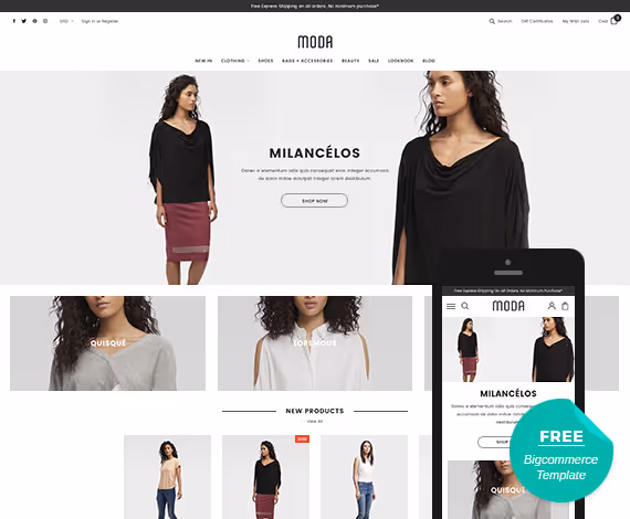 best ecommerce themes for ecommerce store