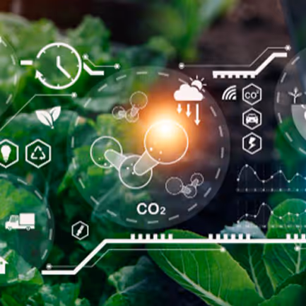 Successive Digital X Growers: Advancing Agricultural Supply Chain Solutions