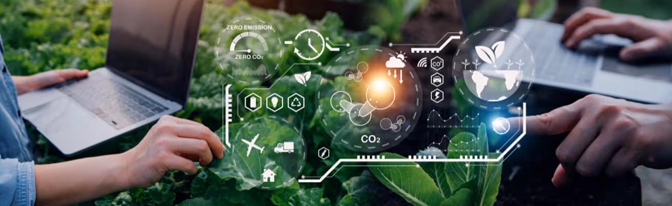 Successive Digital X Growers: Advancing Agricultural Supply Chain Solutions