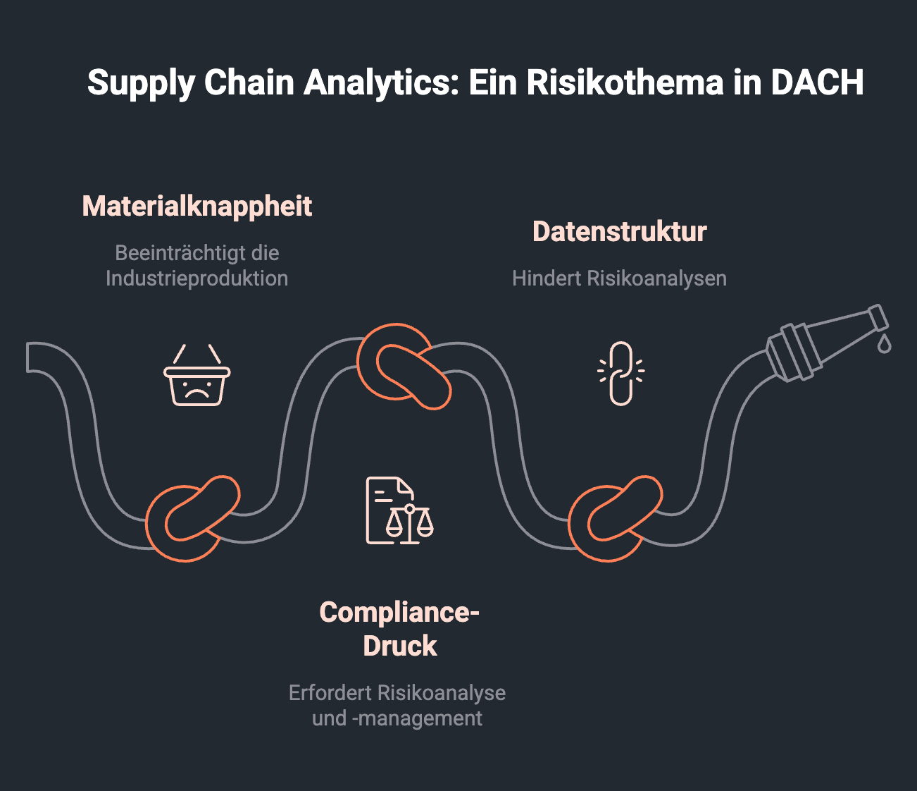 Symbolische Darstellung zeigt warum Supply Chain Analytics ein Risikothema in DACH ist