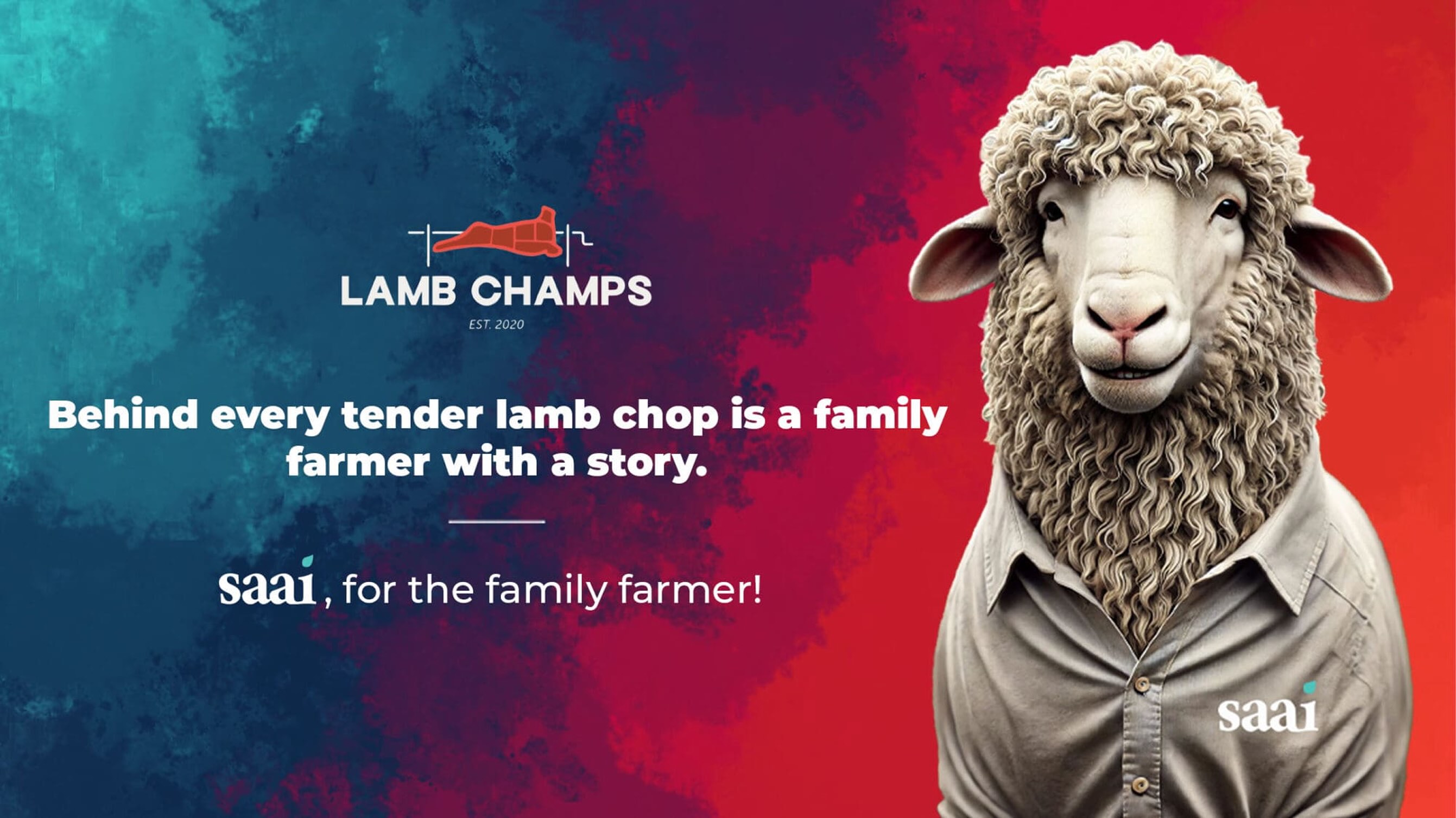 Advertising banner showing a sheep with human-like posture wearing a collared shirt, with text about lamb chops and family farmers alongside the Lamb Champs and Saai logos.