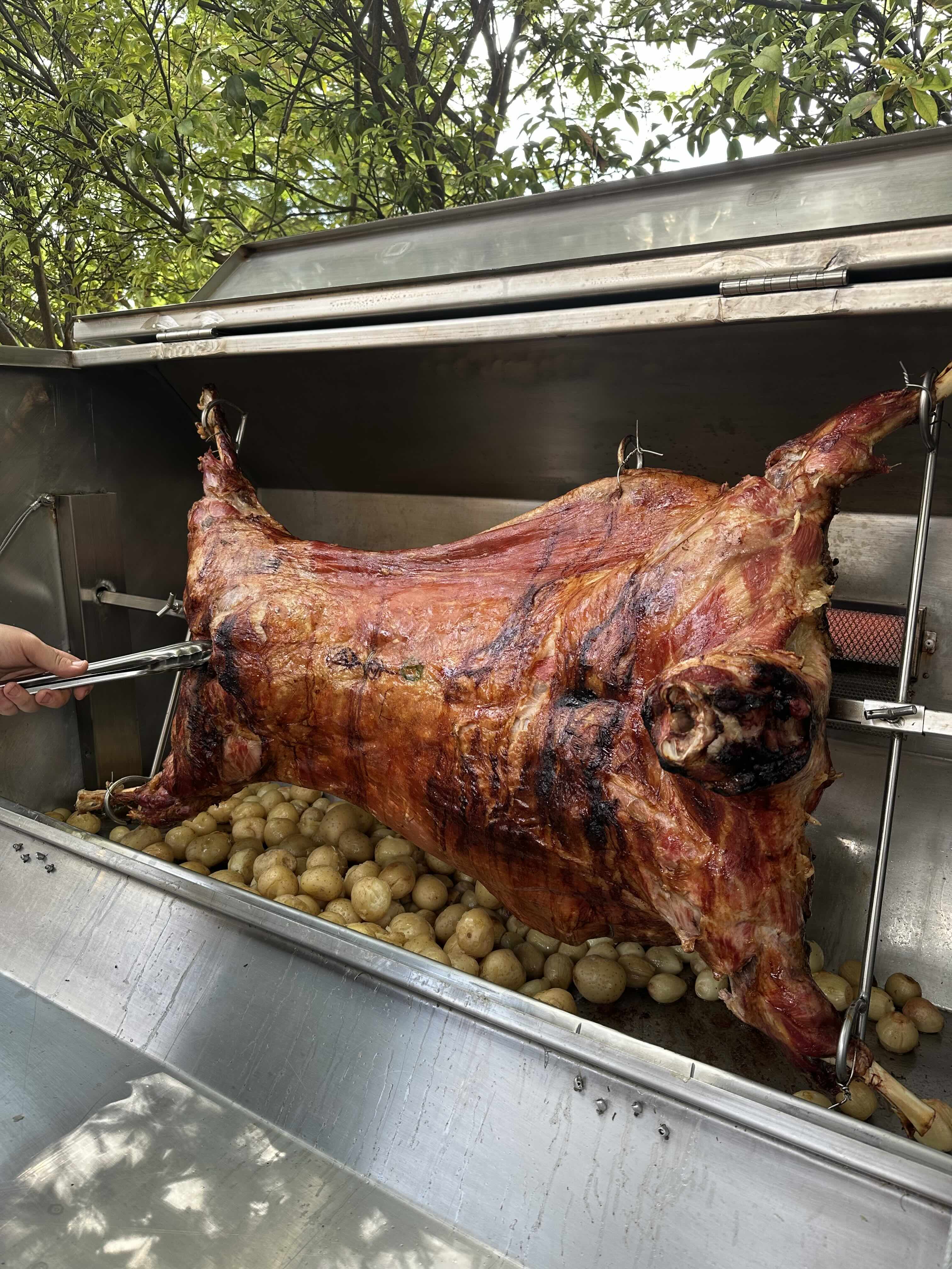 Lamb Champs Hire a Spit