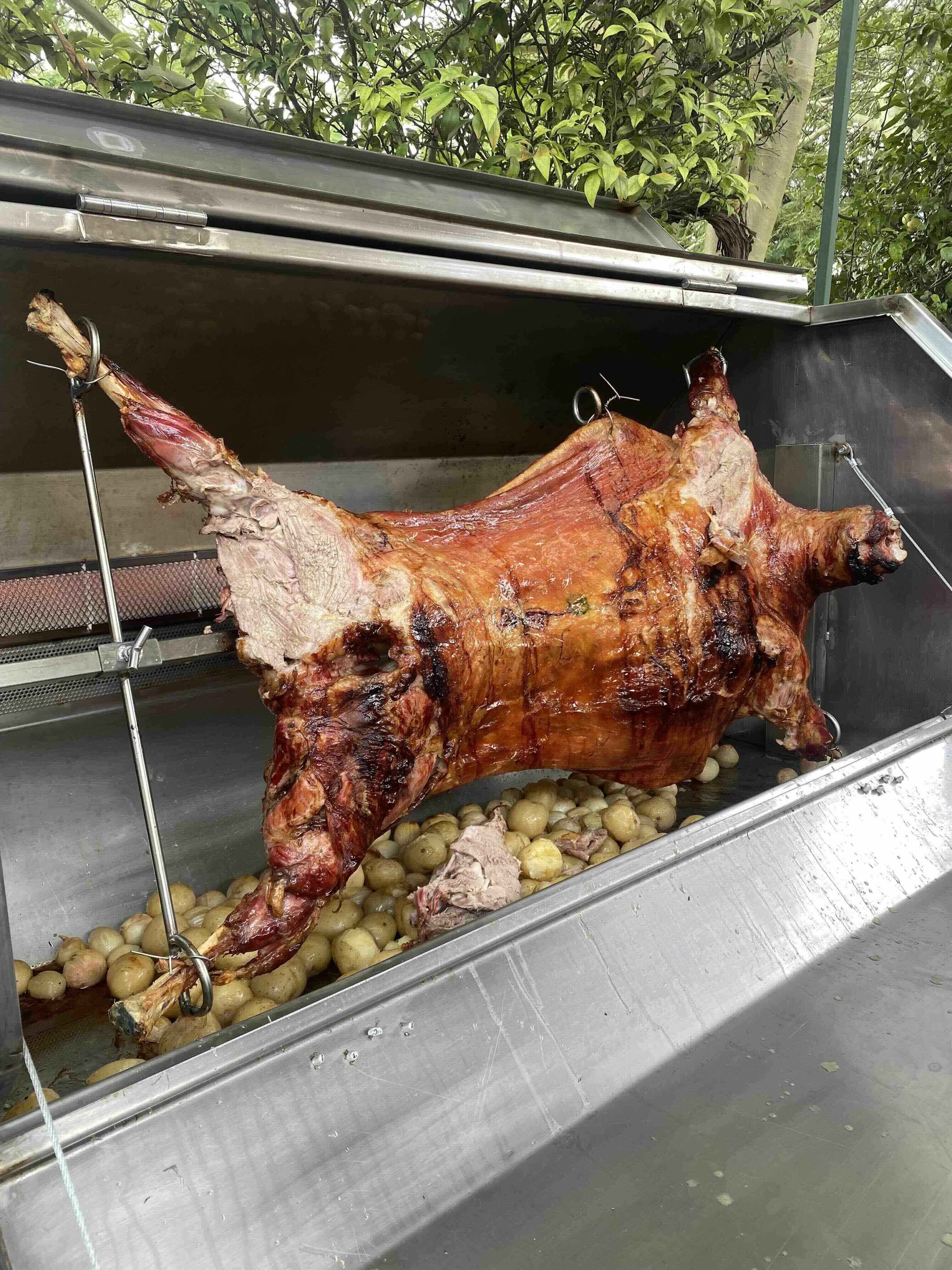 Whole roasted pig on spit over bed of small roasted potatoes outdoors with trees in background.