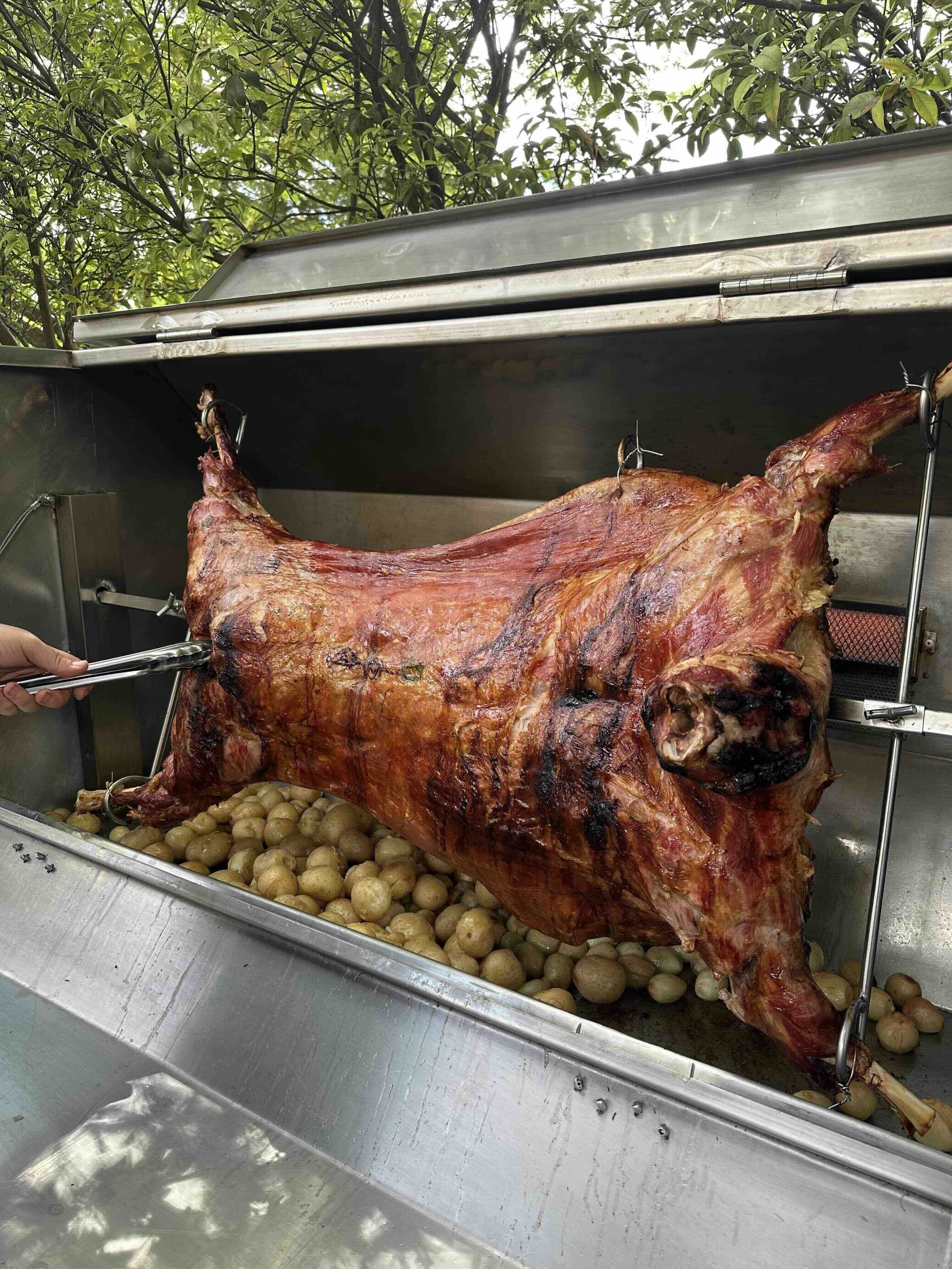 Whole roasted pig on spit above a bed of cooked potatoes in an outdoor grill.