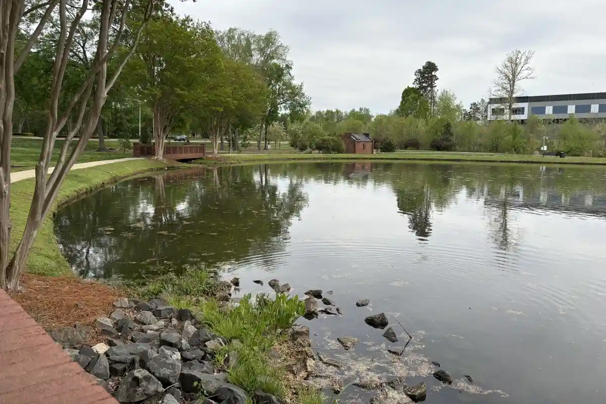 The water and walking trail of Sheatina Pona