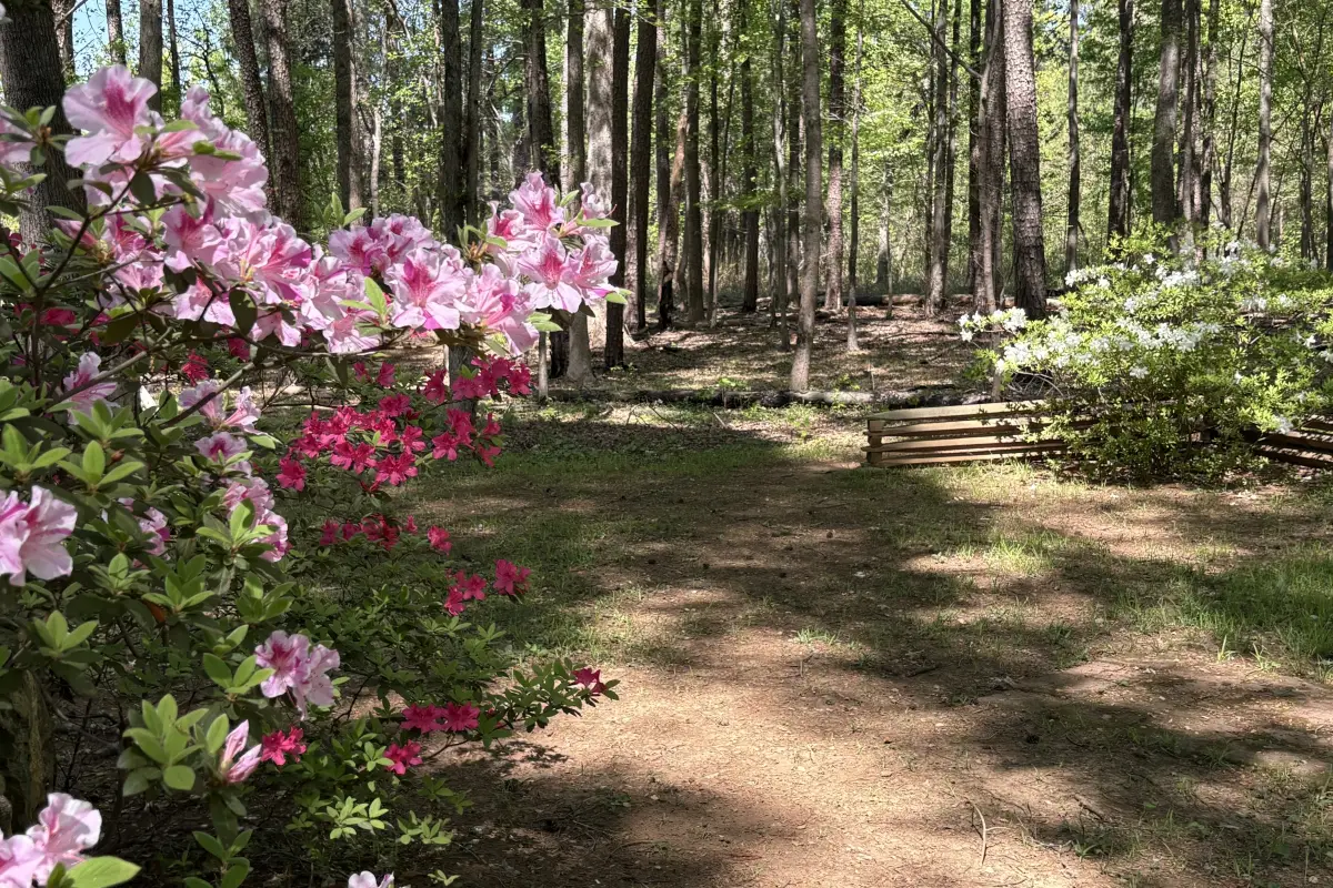 Gar Creek Nature Preserve trail head