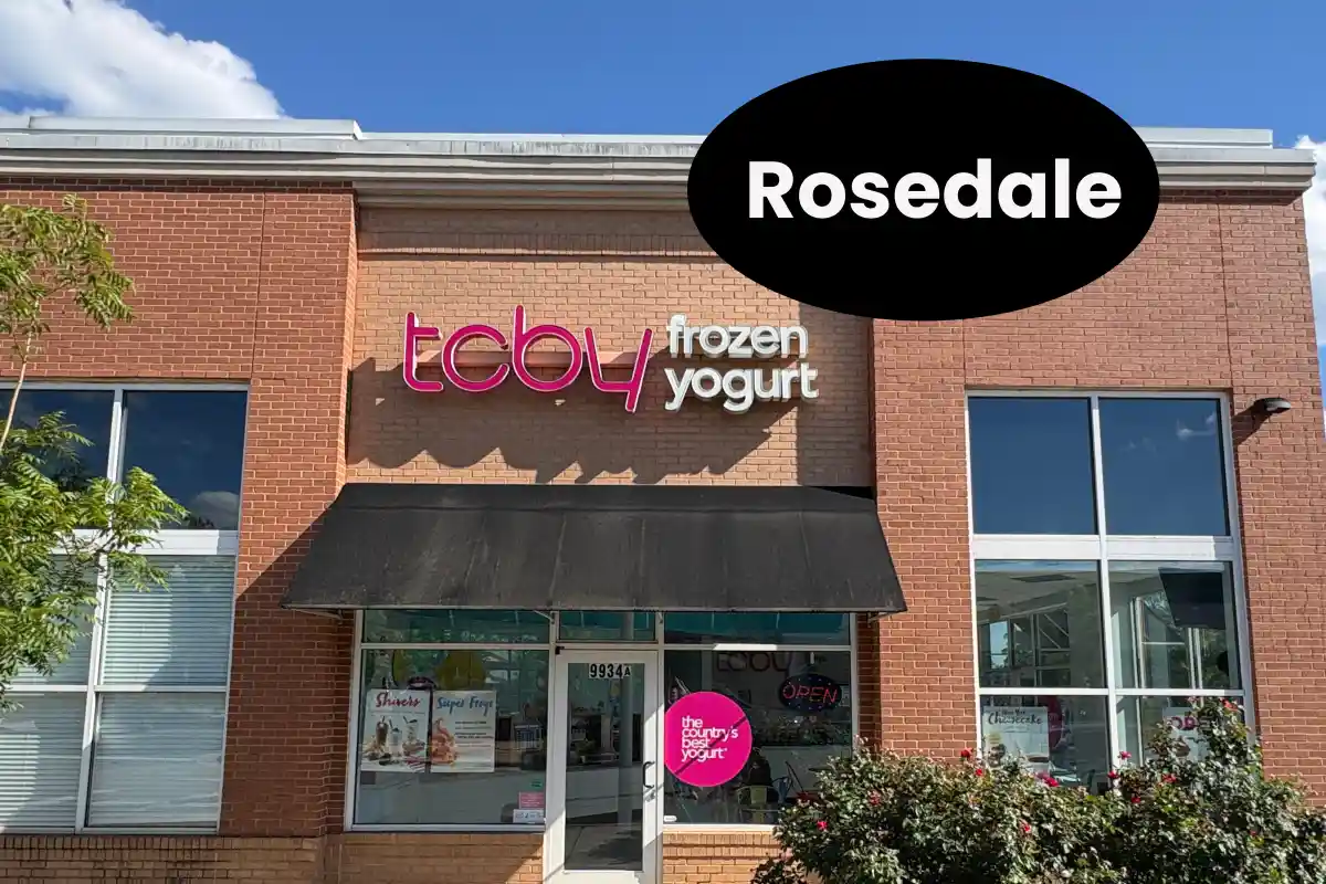 TCBY frozen yogurt shop in Rosedale shopping center