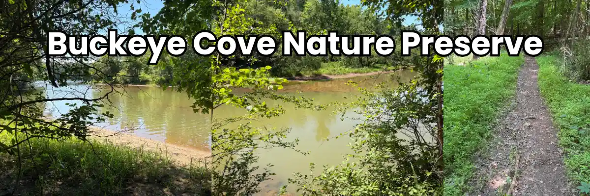 A collage of places to fish at Buckeye Cove Nature Preserve and the trail leading to it