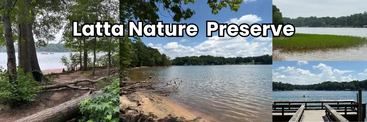 A collage of places to fish at Latta Nature Preserve