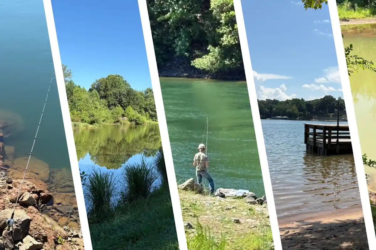 A collage of places to fish in Huntersville