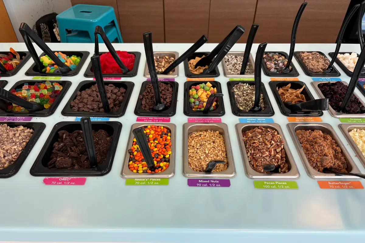 Frozen yogurt toppings bar at TCBY Rosedale