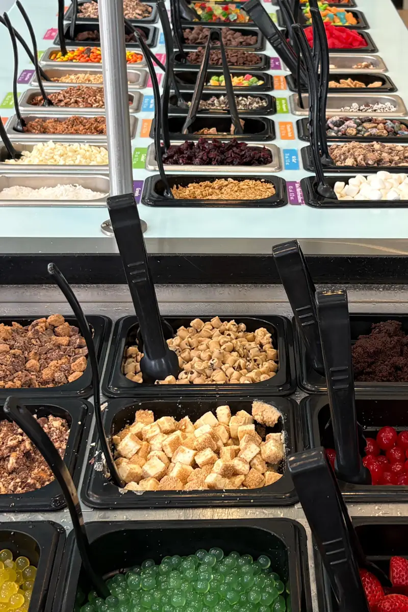 Close-up of frozen yogurt topping choices at TCBY Rosedale