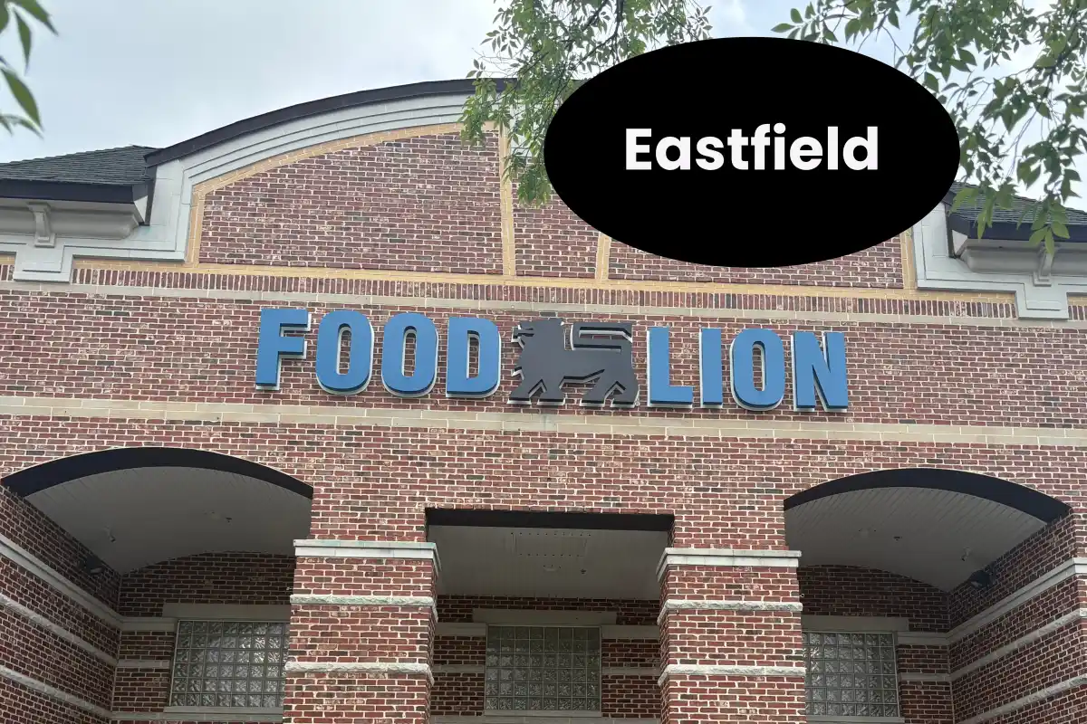 Building exterior of Food Lion in Eastfield Village