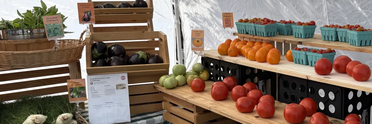 Fresh eggplant, tomatoes, and greens for sale at a produce vendor stall at the Huntersville Growers' Market