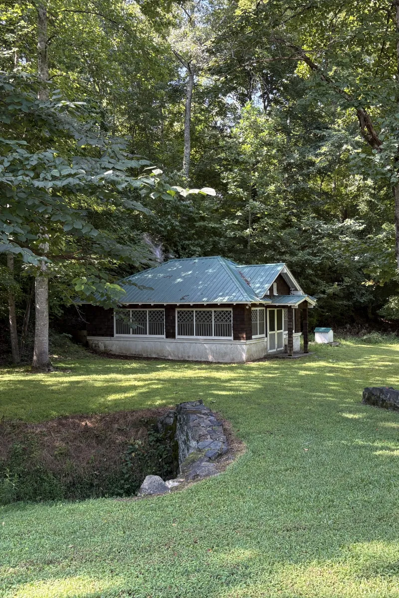 Wide view of the wooded property surrounding the springhouse