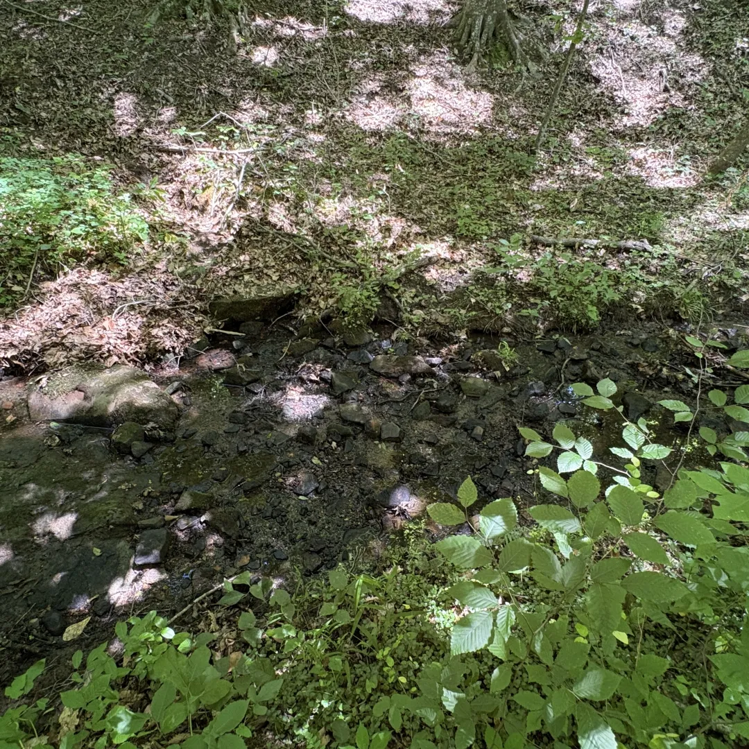 A shallow, rocky stream crossing along one of the trails at Buckeye Cove Nature Preserve
