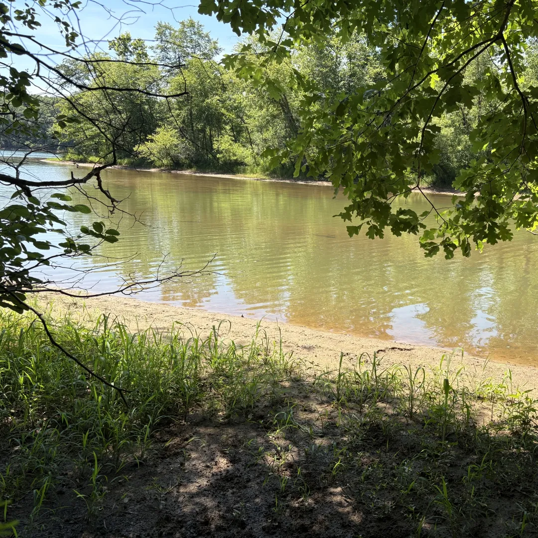 The Catawba River view from the Riverview Loop overlook at Buckeye Cove Nature Preserve