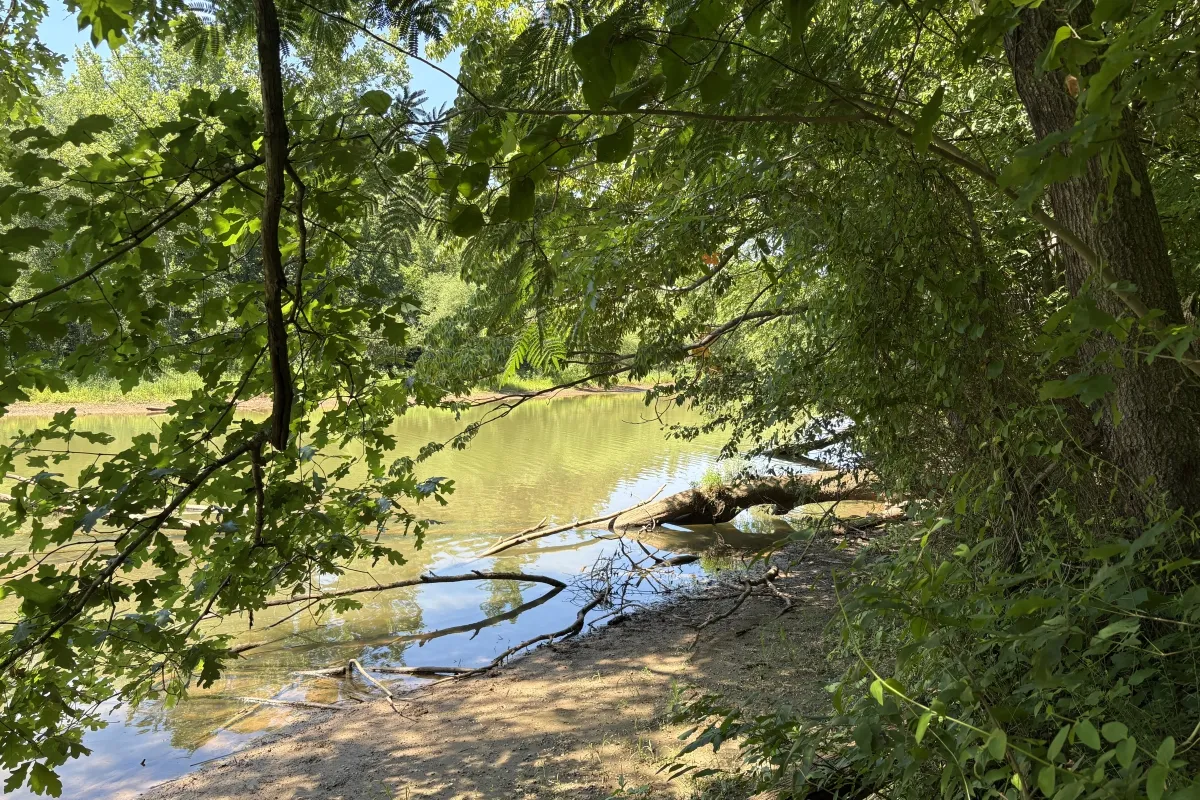 View of the Catawba River from riverbank at Buckeye Cove Nature Preserve