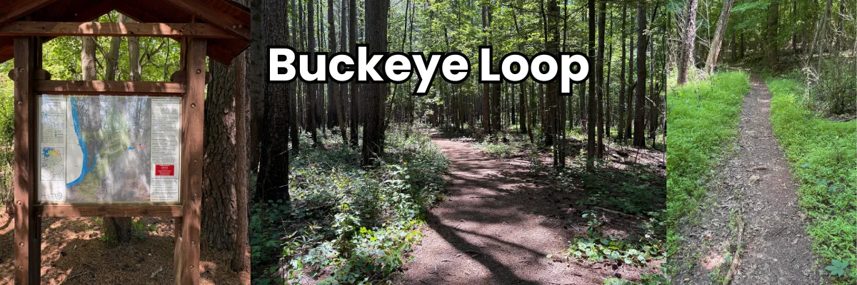 A collage of trail images from Buckeye Loop in Buckeye Cove Nature Preserve in Huntersville, NC